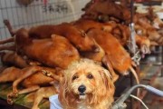 内娱狗崽最新爆料,明星隐私大揭秘