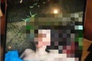 雪憨憨前女友爆料视频,揭秘背后惊人真相