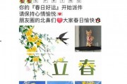 日记吃瓜第二集免费观看,免费揭秘幕后真相，精彩内容抢先看