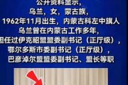 河北热点爆料事件新闻报道,聚焦最新事件动态