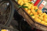 攀枝花芒果爆料视频播放,视频播放量惊人揭秘