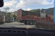 三明爆料最新,揭秘最新热点事件背后的真相
